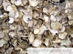 供应批发 有机食品 黑块菌 蔬菜 速冻