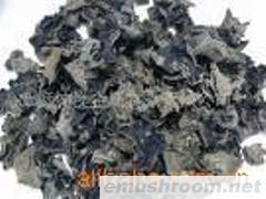供应黑木耳干，木蛾、耳子
