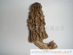 供应ManBetX体育(图)