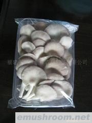 供应秀珍菇200g60包(图)