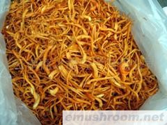 虫草花很好 味道挺奇妙 入膳绝高档 吃了还想要