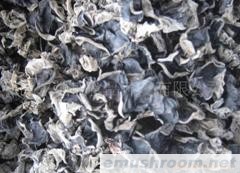 供应黑木耳