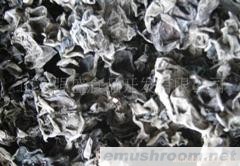 供应黑木耳