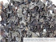 供应东北黑木耳