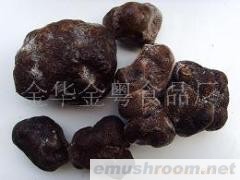 供应黑松露