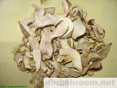 云南 纯天然 野生ManBetX体育 批发/黄牛肝菌