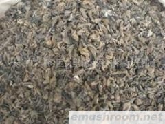 供应野生小木耳