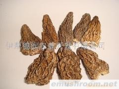 供应Manbetx体育手机版推荐A9版本(图)