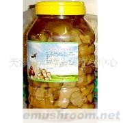 供应黑平菇 田园