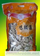 供应鸡腿菇