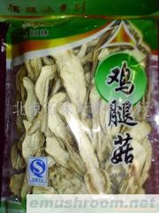 供应鸡腿菇批发(图)
