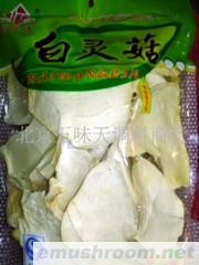 供应白灵菇批发(图)