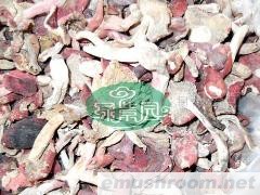 供应湘西怀化土特产 野山菌