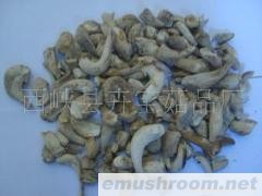 供应香菇脚，菇脚