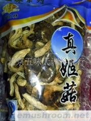 供应姬菇批发(图)