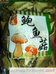 供应鲍鱼菇批发(图)