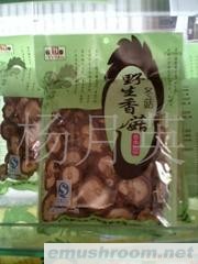 供应云南特产香菇