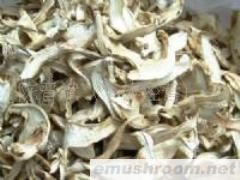 供应野生松茸