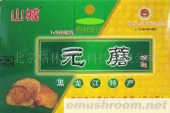 供应元蘑（压缩型）