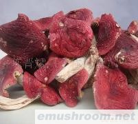 供应云南干品纯天然野生大红菌