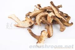 供应牛肝菌 菌粉 银耳 黑木耳