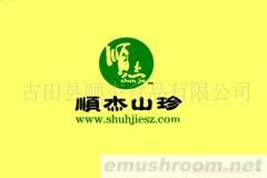 供应山珍Manbetx体育手机版V17版本发布.官网安卓网.香港