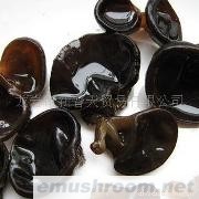 供应木耳（大木耳，小木耳,黑木耳）