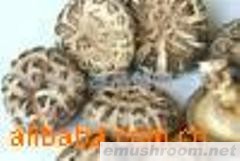 供应ManBetX体育、药材