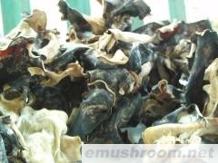 批发供应毛木耳。