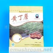 供应内蒙古特产阿尔山山珍系列菌类黄丁蘑手提