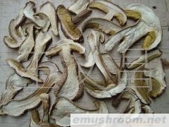 批发供应美味牛肝菌A、B、C级货