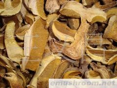 供应野生菌，黄香菌、黄牛肝菌