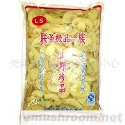 批发供应双孢菇