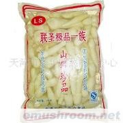 批发供应鸡腿菇