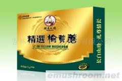 供应榆黄蘑