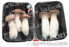 供应优质新鲜雪茸,白灵菇和蟹味菇