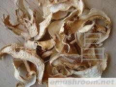 供应野生ManBetX体育老人头干片