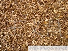 供应野生Manbetx体育手机版V17版本发布.官网安卓网.香港牛肝菌碎片、牛肝菌菌脚