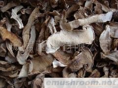 批发供应野生菌 松茸干片 野生松茸
