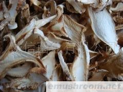 批发供应；野生菌 土特产 老人头干片 杉松菌