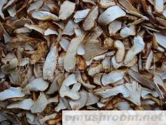 批发供应野生菌 牛肝菌 老人头 特产  批发