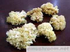 银耳(天然椴木银耳)