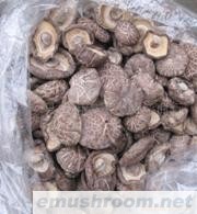 3.5-5公分带花干香菇