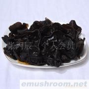供应黑木耳