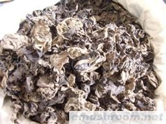 供应优质黑木耳