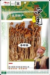 供应茶树菇