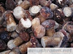 供应速冻野生牛肝菌B级整菇