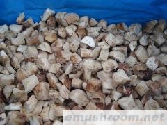 供应速冻野生牛肝菌B块