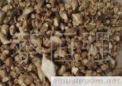供应香菇脚