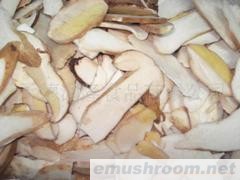 供应速冻牛肝菌切片